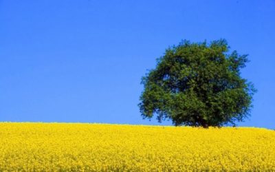 Jalhay 4 décembre: rencontre avec les agriculteurs